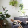 Как создать атмосферу летнего настроения в своём доме: 10 советов дизайнера