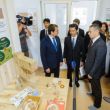 В Воронеже построили «умный дом» по японским технологиям (фото)