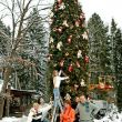 Сергей Жигунов и Вера Новикова сделали новогодней ёлкой 8-метровую тую во дворе