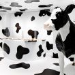 Чёрно-белый магазин молочных продуктов Milk Land