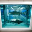Акулы и таблетки: как выглядит гостиничный номер за $100 000 в сутки