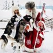 Дома Деда Мороза в разных городах России