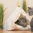 Уютный домик в виде вигвама для кошки своими руками