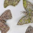 Потрясающее панно с бабочками и мотыльками из географических карт