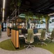 Как офис в стиле «джунгли» повлияет на работу сотрудников 