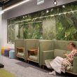 Как офис в стиле «джунгли» повлияет на работу сотрудников 