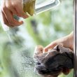 Как быстро помыть окна после зимы: 7 простых советов