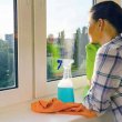 Надо ли мыть окна в городской квартире сразу после зимы?