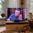 Деревенская изба звёздного телевизионного доктора Александра Мясникова