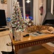 Деревенская изба звёздного телевизионного доктора Александра Мясникова
