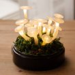 Удивительный светильник с волшебными светящимися грибами своими руками