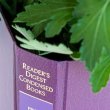 Необычное декоративное кашпо из старых книг своими руками