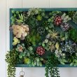 Невероятное настенное панно-кашпо из искусственных суккулентов своими руками