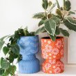 Милые и уютные кашпо из обычных пластиковых банок и папье-маше своими руками