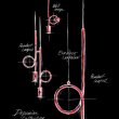 Alexey_Danilin-Euroluce_Lampadari-09.jpg