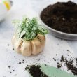 Восхитительные кашпо в виде золотых тыкв для осеннего декора DIY
