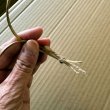 Душевный тыквенный венок своими руками для осеннего декора в деревенском стиле