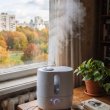 Как сделать нормальную влажность в квартире осенью без использования увлажнителей воздуха