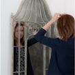 Птичья клетка с зеркалом – оригинальный элемент винтажного стиля
