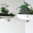 Как оригинально вписать живые растения в интерьер - 5 необычных советов от дизайнеров по интерьерам 